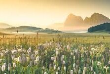 av中文字幕系列视频-探索AV中文字幕系列视频的多元文化视角与影响