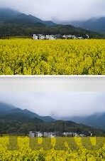 果冻传媒视频在线资源观看-果冻传媒视频，在线资源观看的多样性与趣味性