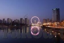 麻豆视频入-全城热议，麻豆视频平台的独家魅力与用户互动新体验