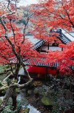 日韩一区二区三区视频-日韩影视内容区域划分，文化交流与娱乐的多元视角