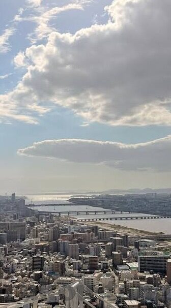糖心app软件下载-掌握技术之力，解锁智能生活——糖心app的下载新体验