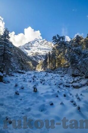 糖心app网址在哪-找寻糖心app网址之旅的启示