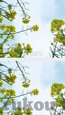 糖心app下载汅免费soi-免责原理下半段