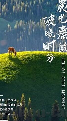 糖心官网vlog-糖心官网vlog，记录生活里的甜蜜与惊喜