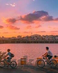 糖心vlog官方入口-探索独特视角，揭秘糖心vlog官方入口的多元魅力