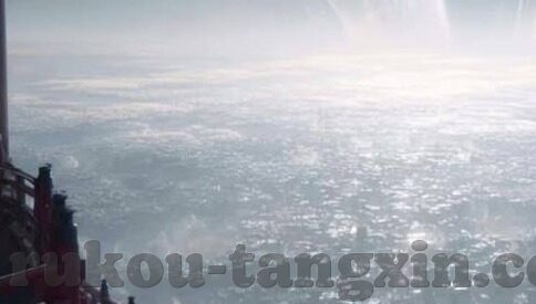 www800av麻豆-探寻网络世界的绽放，新时代的麻豆现象